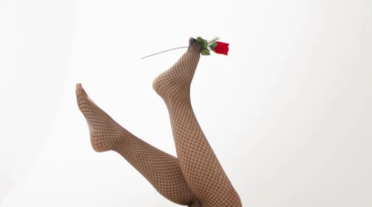 Flowers 🌷 de MollyFerrer_  Imagens