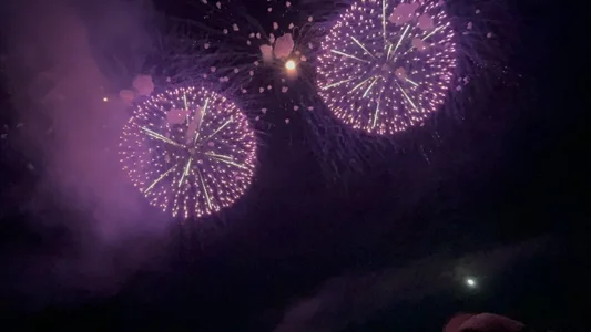 841_yayoi 花火 Immagine 