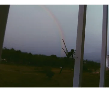 Annye01_ Favorite hobbies Pic 9