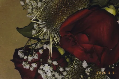 VeliraBraitberg UR FLOWERS FOR ESTER Immagine 