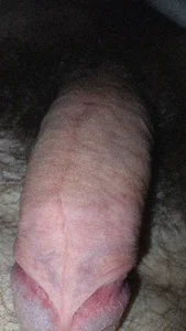 Public de dario84rozz  photos