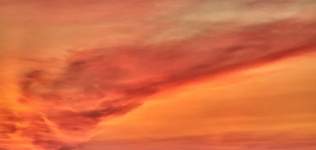 Audrey_Aura COLORS OF NATURE 2 Hình 8