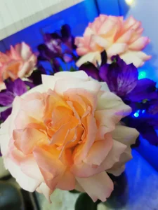 love_me__tonight_ 🎁My wish-list and GIFTS from you🎁 Foto 6