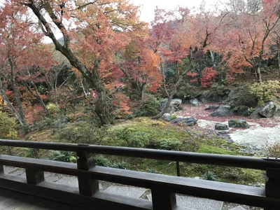 LovelyNanako Public Hình 5