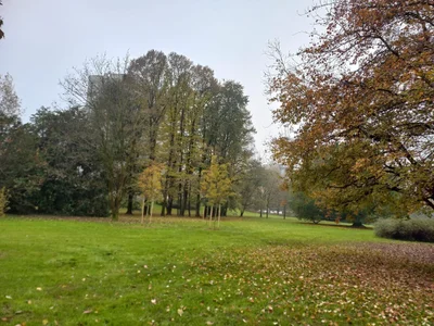 amabel_zambrano Milán Italia autumn صورة واحدة|amabel_zambrano Milán Italia autumn صورتان|amabel_zambrano Milán Italia autumn  2 صور|amabel_zambrano Milán Italia autumn  2 صورة