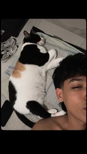 Jake_Falcon my cute pet Immagine  7