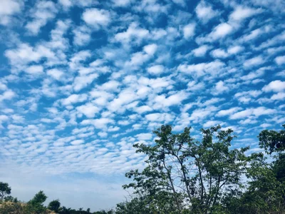 Kingruler10: Free ( 5 фото)