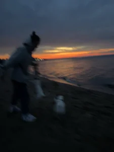 life as it is de _ni_kiss Foto