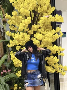 Ramonaflowers67 Public Bilde