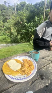 Outdoor 🏕️🌳🪵 Cruising de skinny23cm  Imagens