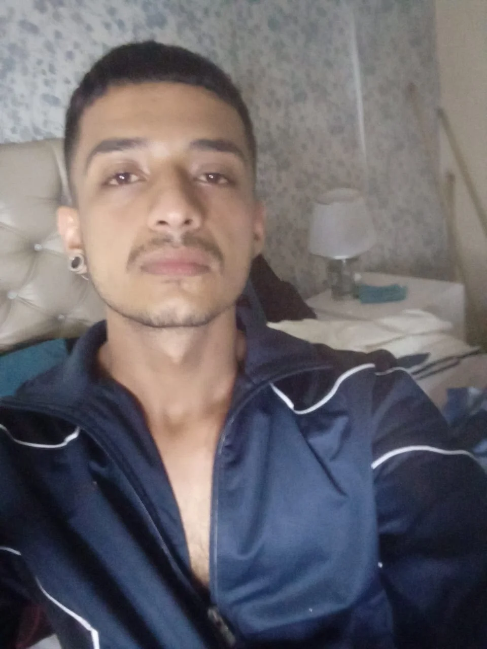 TurnerStar Δημοφιλής εικόνα 5408