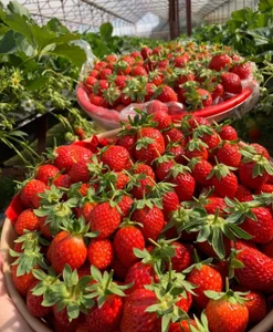 Sime_Naughty Public slika 6