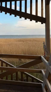 MelissaMelrey 🤍🤍 Poză