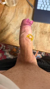 Maxinter dick slika 3