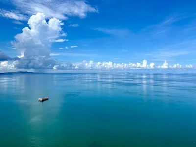 Canto__ Public صورة واحدة|Canto__ Public صورتان|Canto__ Public  2 صور|Canto__ Public  2 صورة