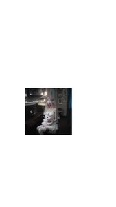 babydollbby's photo