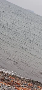 Public de Fara_nume69  photos