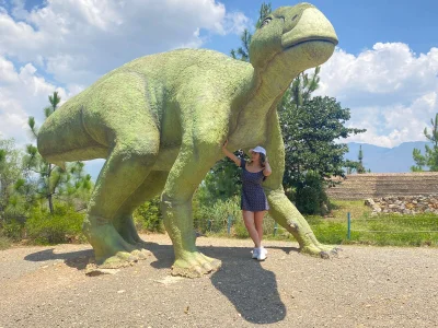 AtheneaRossi kullanıcısının The valley of the dinosaurs albümü -  8 fotoğraf