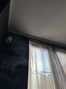 Morning with Luci. (And what happens next you can see in my vid for fans) de Dark_Lucious  8 Imagens