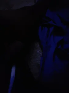 Zdjęcia diquemon Public: 