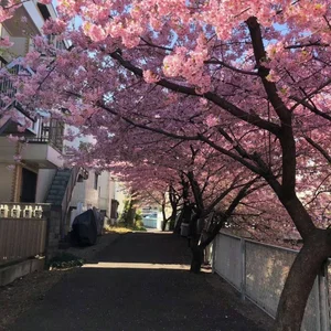 Misa_Rose ♥️🤩♥️ Pic