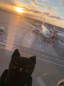 NicoleFancy Travel time 💫 Immagine  8