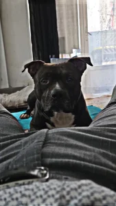 😘 de Keviios Foto 2