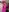 My intimate pink vacation photos