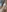 Luna_Riva's photo