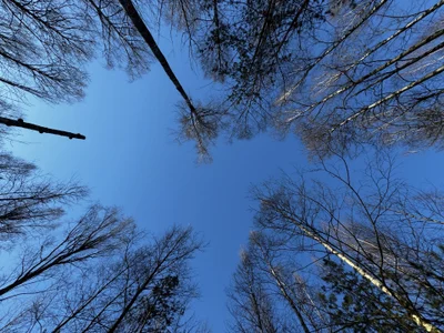 AlexFH life is beautiful slika 6