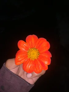 AngelDuster__ Nature and its beauty 🔥 Bilde 8