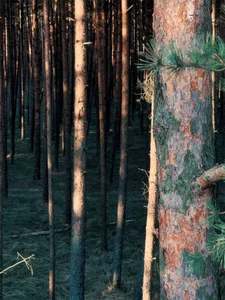 MaryMurray Nature and me Foto 2