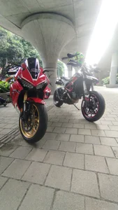 Alejandro11once1Public Bild 4