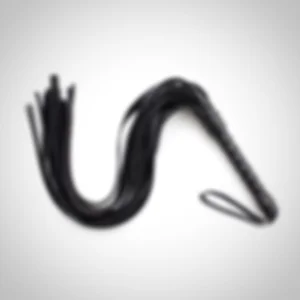 controlplay Public Pic 4