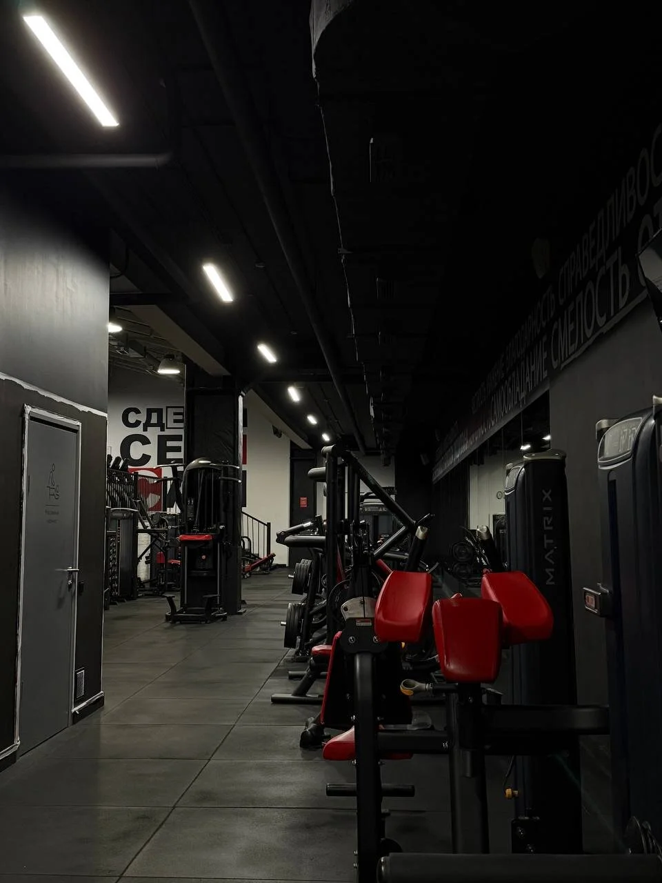 DanieleBrunome Trending Pic 6146