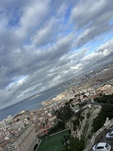 Public de anaconda20c  2 Imagens