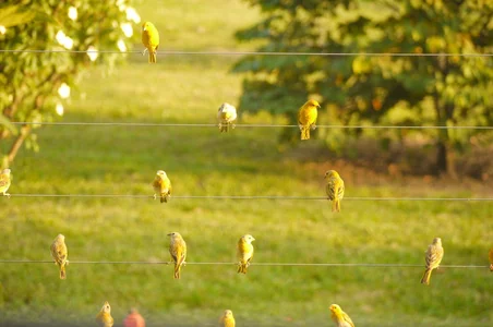 Yera_brown69 Vibes 🍀🍃 Pic 3