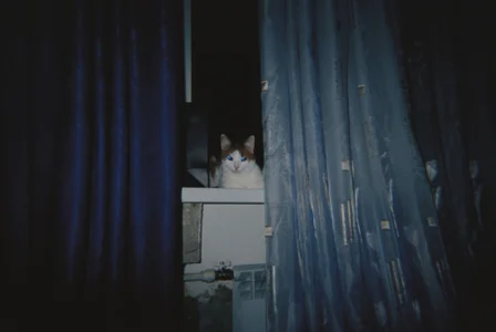 RedLipse just my life Hình 8