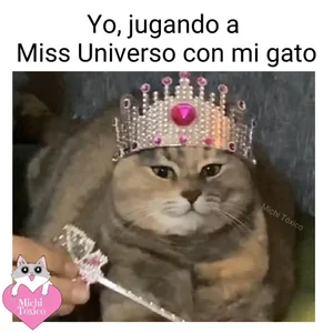 charlloteevans_X Michis  4টি ছবি