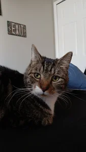 Public de chonkygoth Foto 6