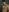 Porncorn's photo