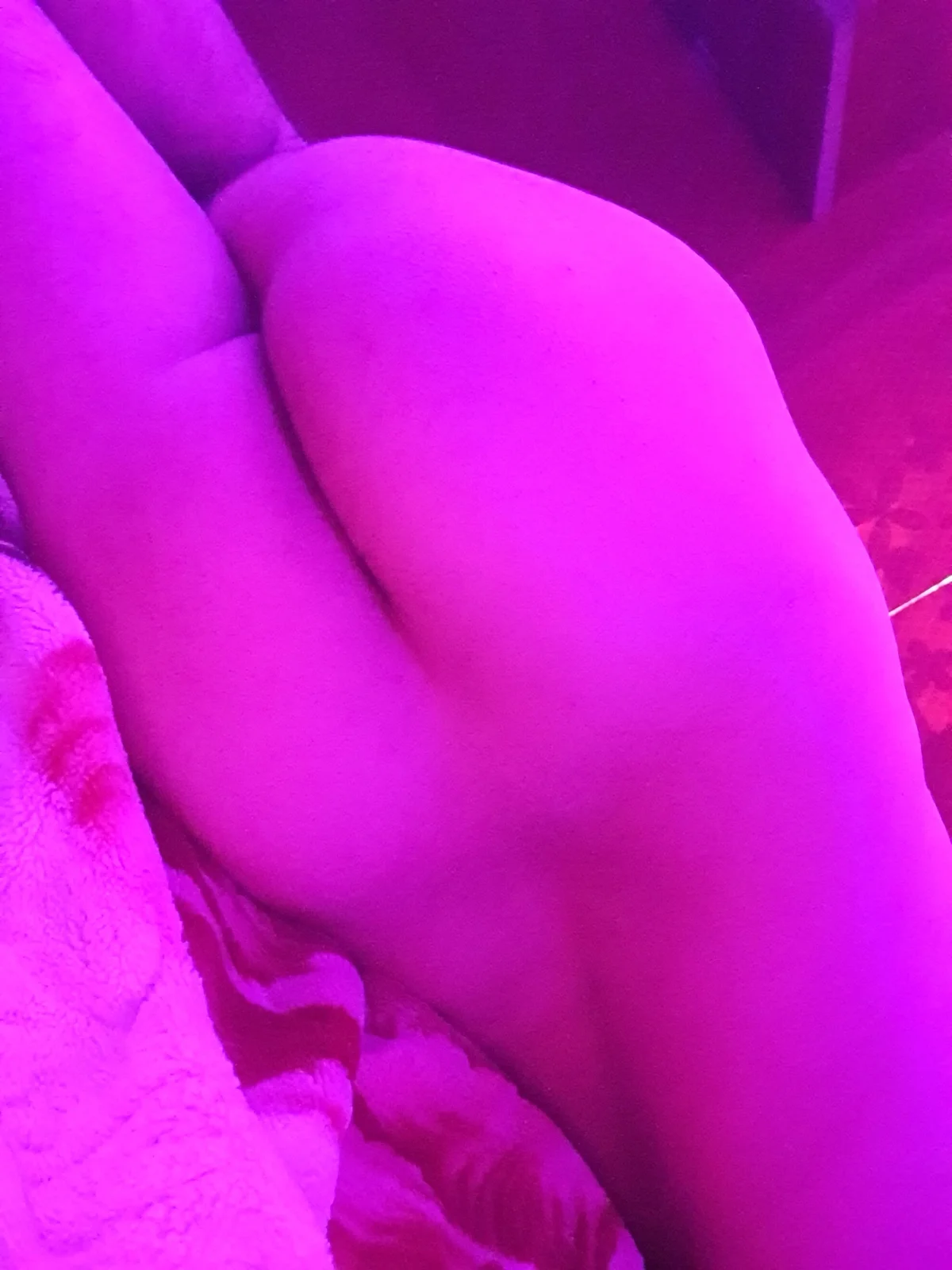 danshris 热门图片 4529