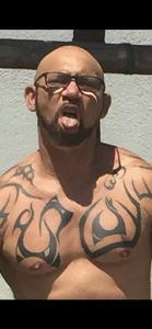 TOROBULL6 Public Hình 3