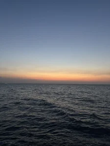 tinymoon-'s photo