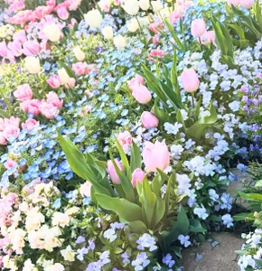 Yua-channel_のPublicの 2枚の写真