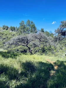 • Outdoors 🌳💚• de Romancartier_1  4 Imagens