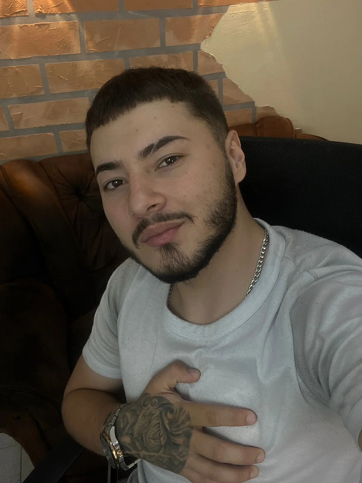 Brandon_01 избранные изображения 9246