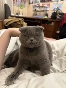 My pets✨ od SugarMuse  5 snímek