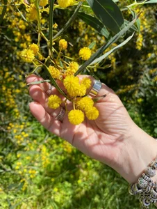 YanaMayer Public Pic 5