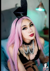 codekitten Public Hình 7